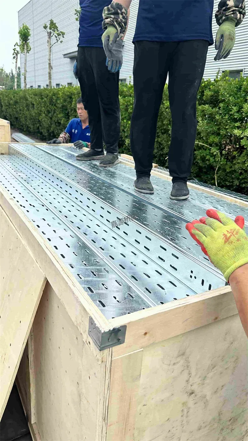 微信图片_202504270949571.